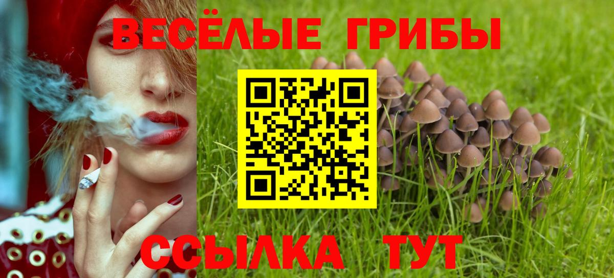 Галлюциногенные грибы Magic Shrooms Холмск