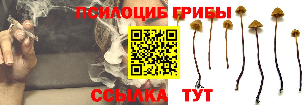 Галлюциногенные грибы Psilocybine cubensis  Галлюциногенные грибы мухоморы  Холмск  Вход с VPN 